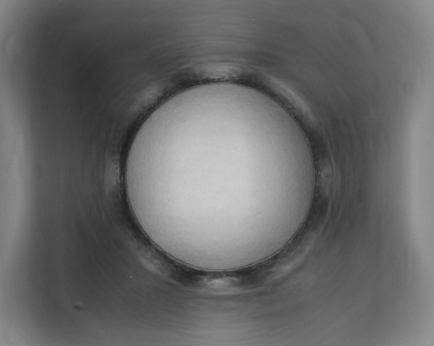 X0000111950407200908101226