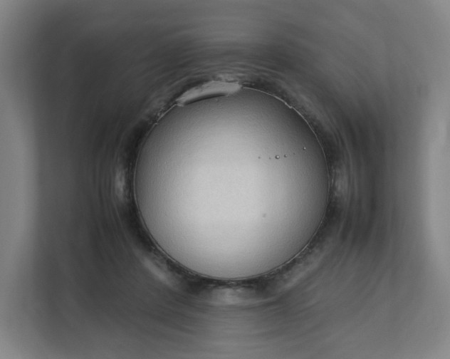 X0000111950408200908101226