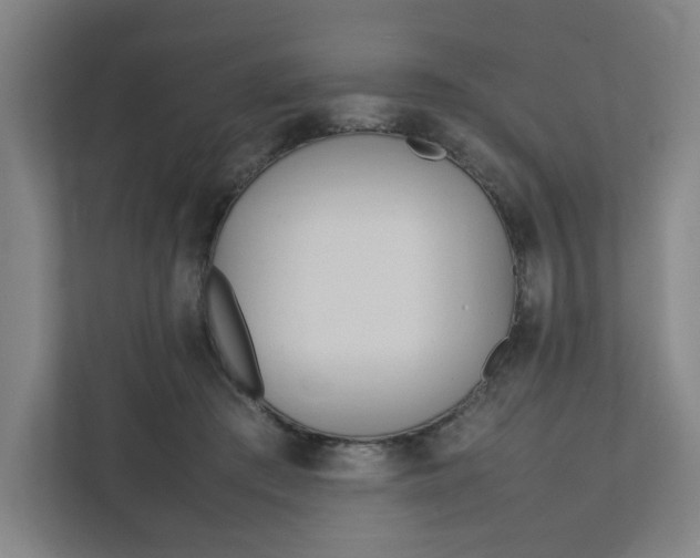 X0000111950409200908101226