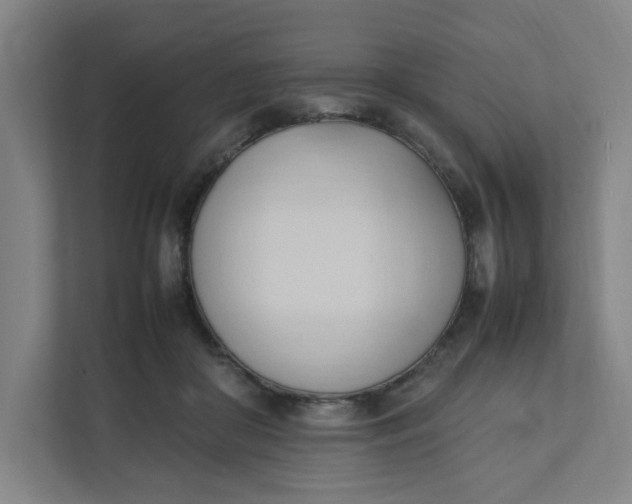 X0000111950410200908101226