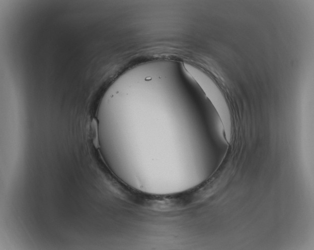 X0000111950411200908101226