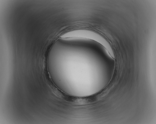 X0000111950413200908101226