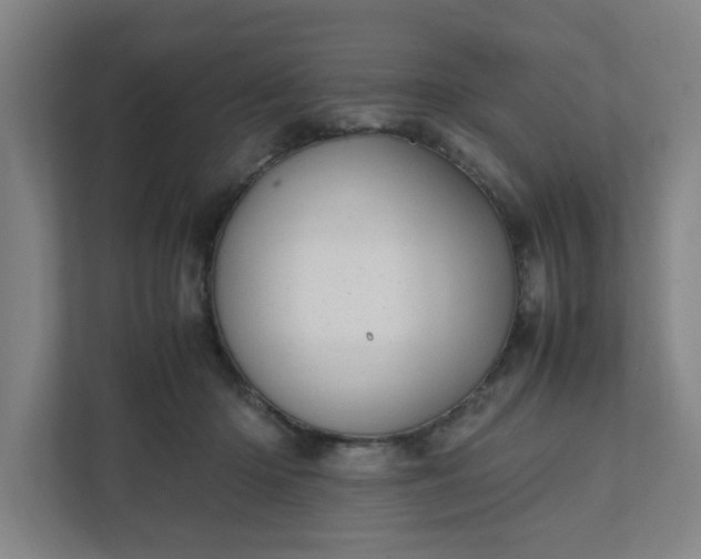 X0000111950414200908101226