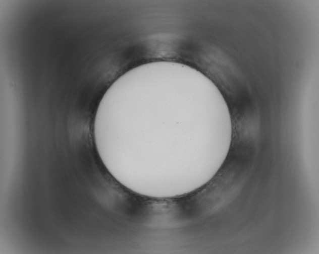 X0000111950415200908101226