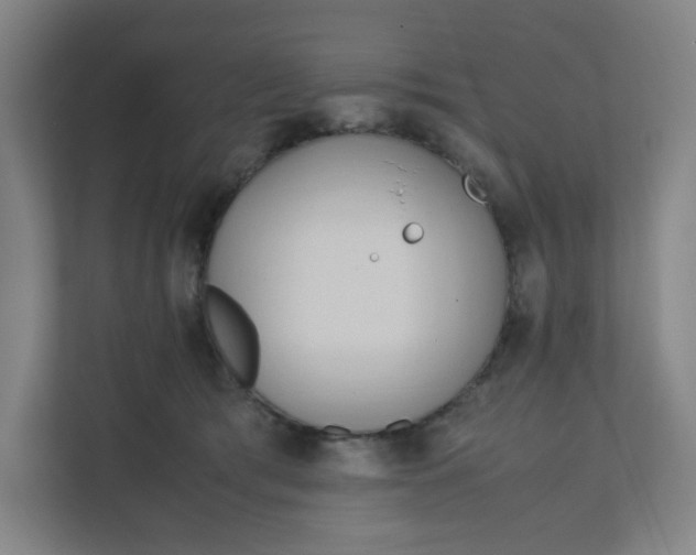 X0000111950417200908101226