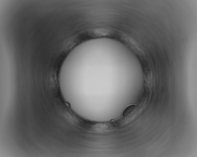 X0000111950418200908101226