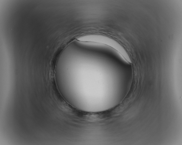 X0000111950419200908101226