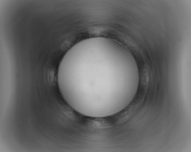 X0000111950420200908101226