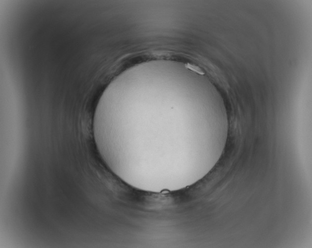 X0000111950421200908101226