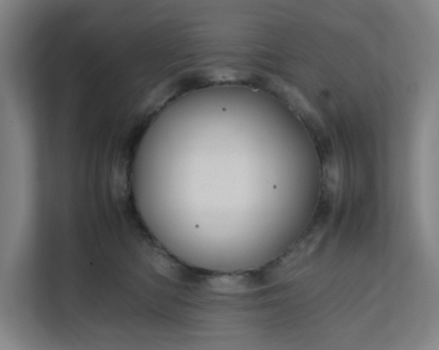 X0000111950422200908101226