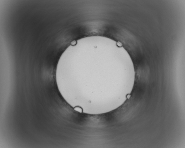 X0000111950423200908101226