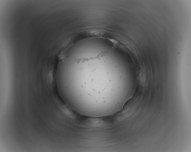 X0000111950424200908101226