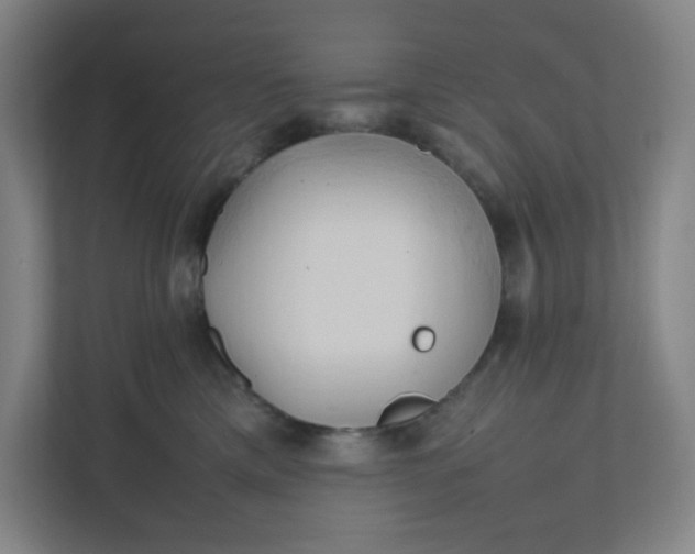 X0000111950425200908101226