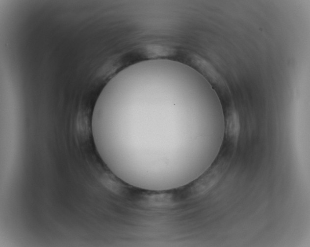 X0000111950426200908101226