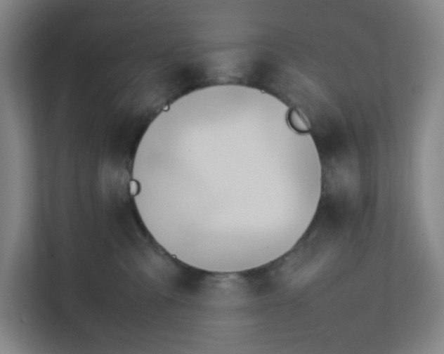 X0000111950427200908101226