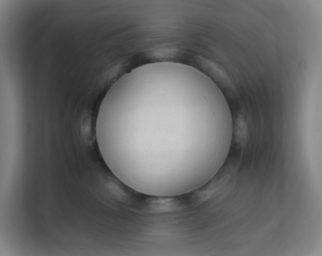 X0000111950428200908101226