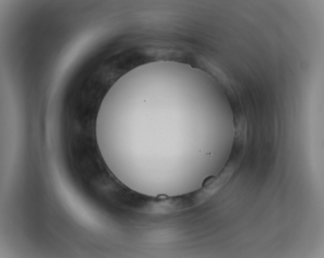 X0000111950430200908101226