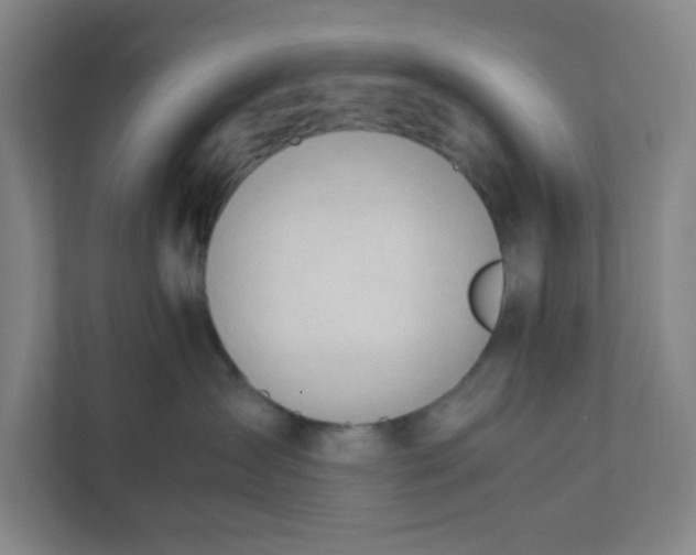 X0000111950431200908101226