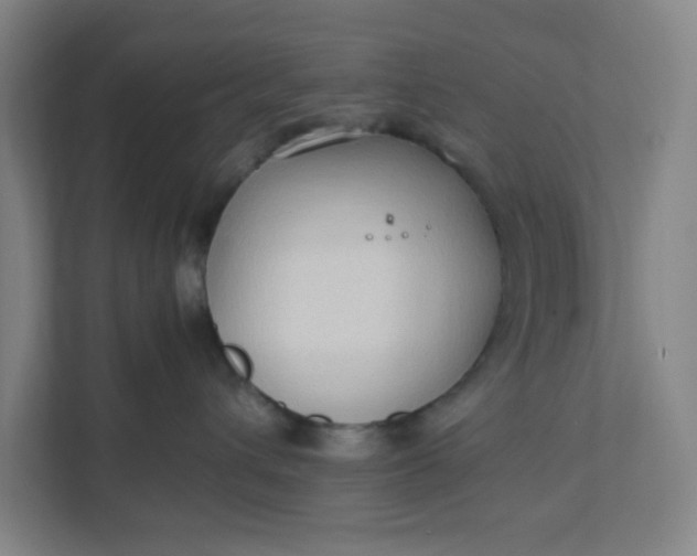 X0000111950432200908101226