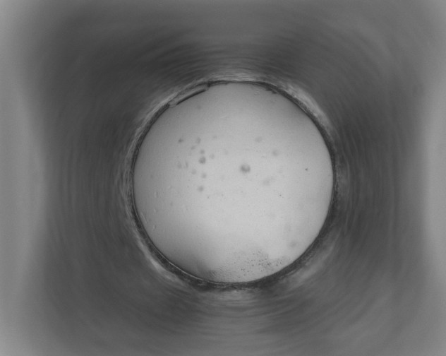 X0000111950433200908101225