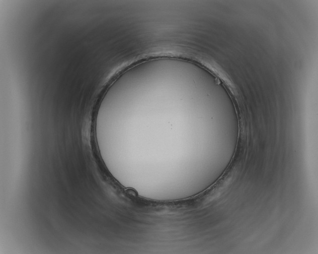 X0000111950434200908101225