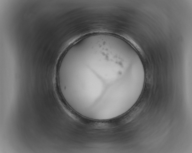 X0000111950437200908101225