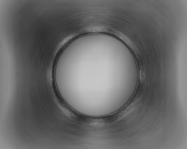 X0000111950438200908101225