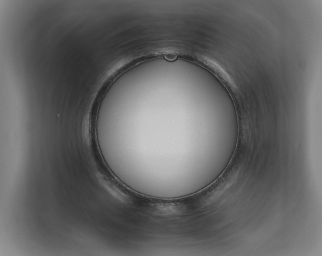 X0000111950439200908101225