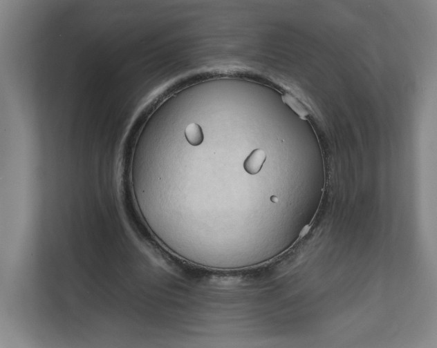 X0000111950440200908101225