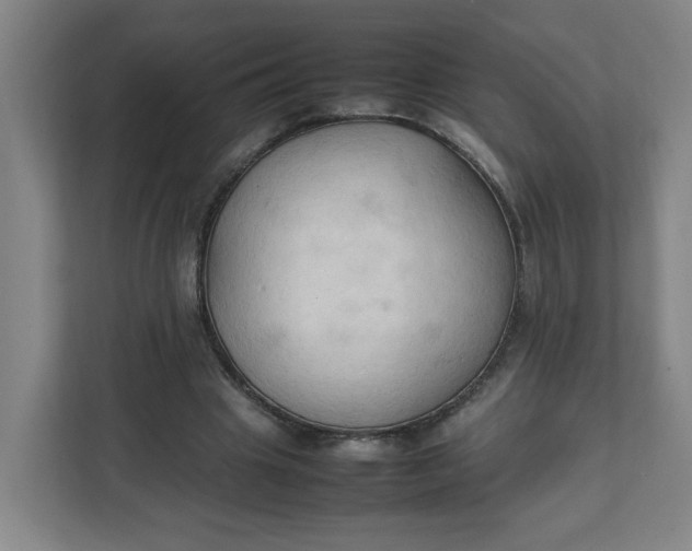 X0000111950441200908101225