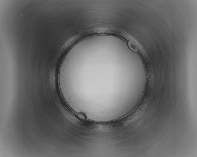 X0000111950442200908101225