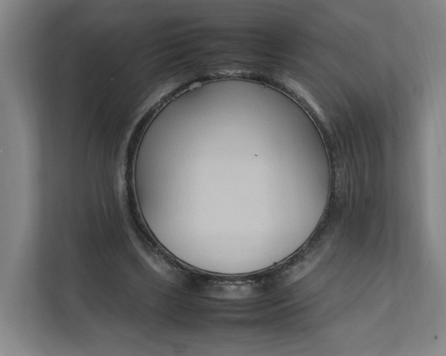 X0000111950443200908101225