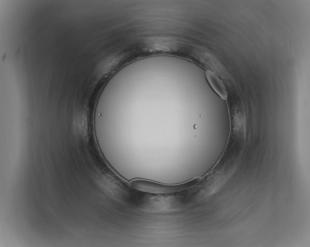 X0000111950444200908101225