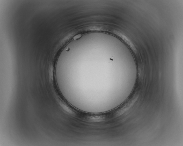 X0000111950445200908101225