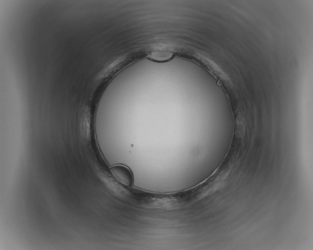 X0000111950446200908101225