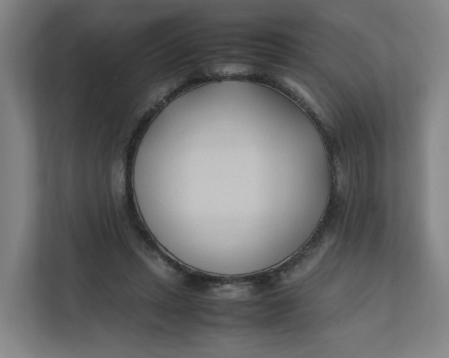 X0000111950447200908101225