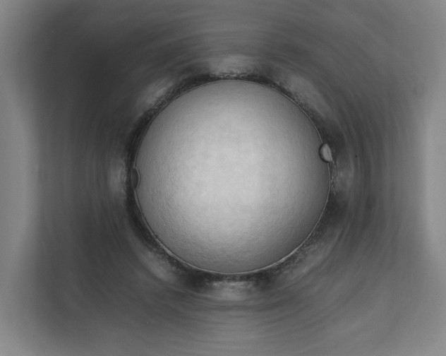 X0000111950448200908101225