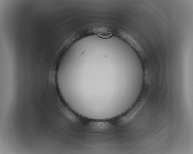 X0000111950449200908101225