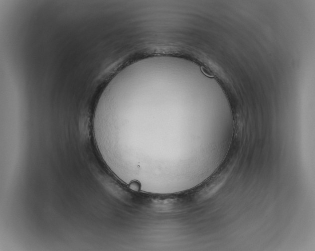 X0000111950450200908101225