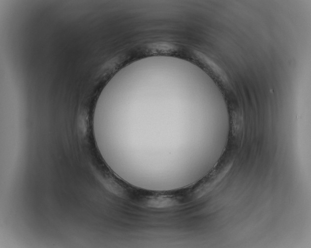 X0000111950451200908101225