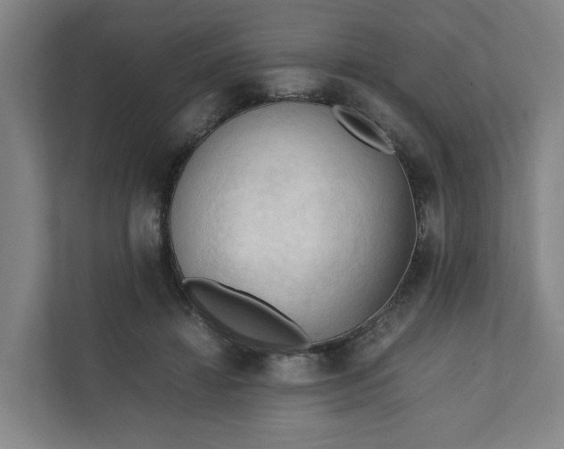 X0000111950452200908101226