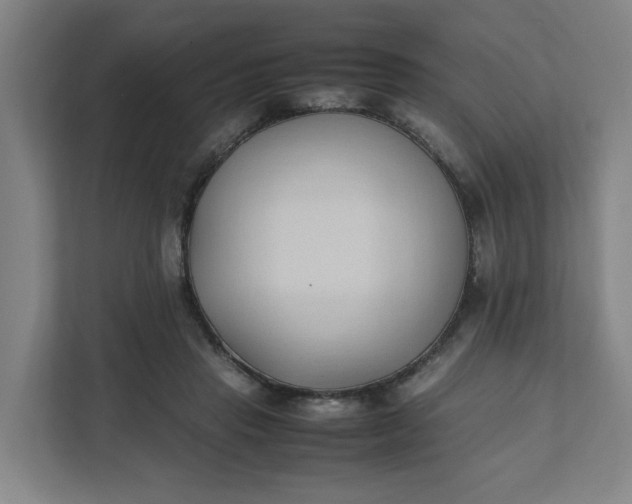 X0000111950453200908101226