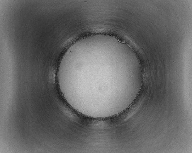 X0000111950454200908101226