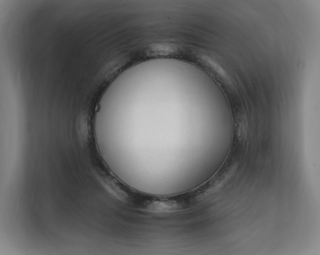 X0000111950455200908101226