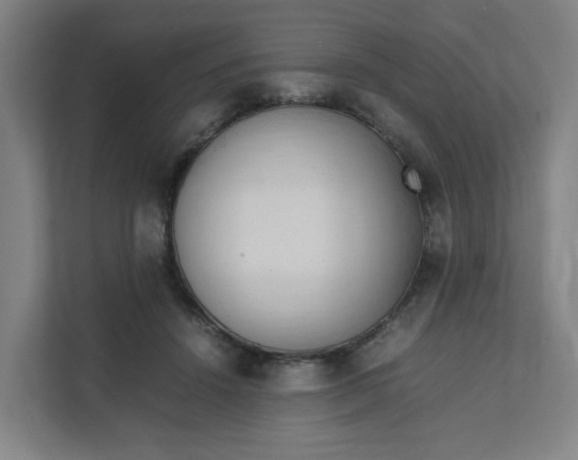 X0000111950456200908101226