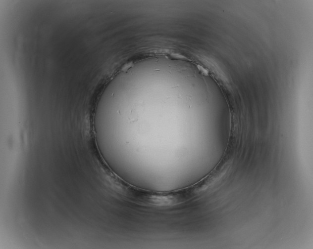 X0000111950457200908101226