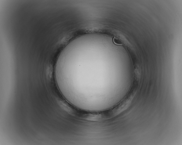 X0000111950458200908101226