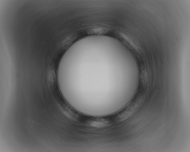 X0000111950459200908101226