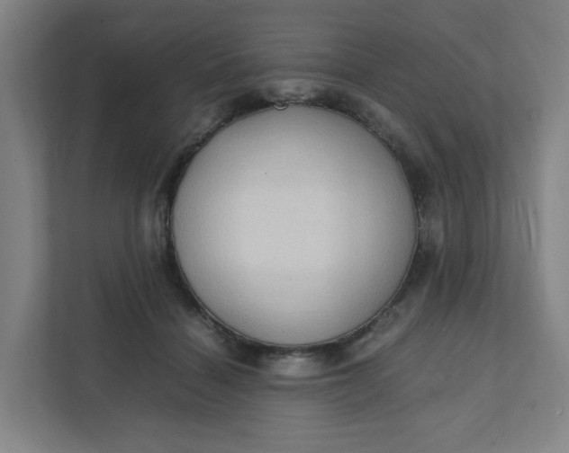 X0000111950460200908101226