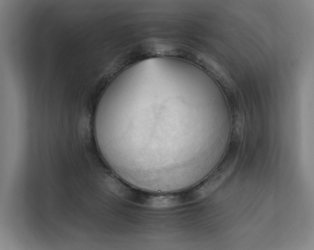 X0000111950461200908101226